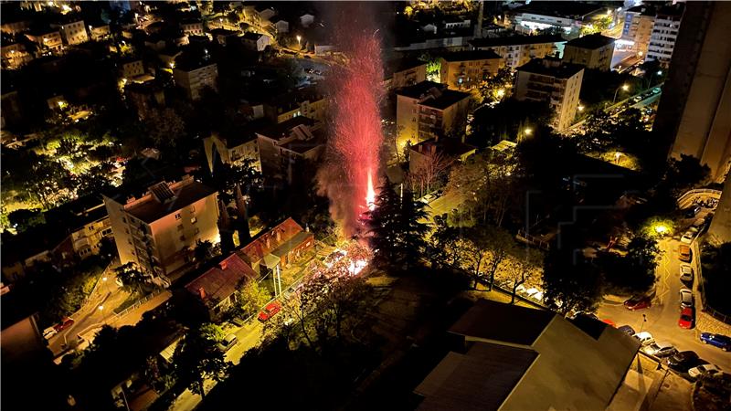 Županijski vijećnik Leo Pavela: Rastočine gore, a policija šuti