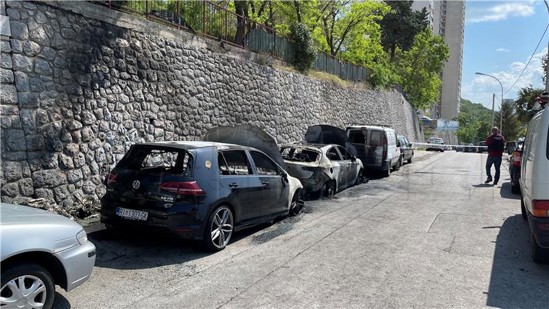 Županijski vijećnik Leo Pavela: Rastočine gore, a policija šuti