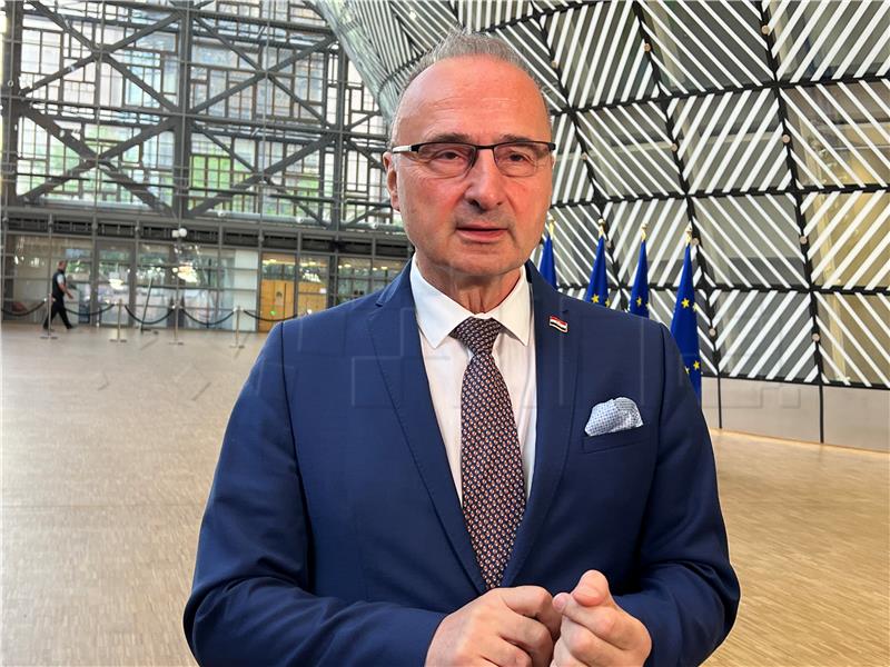 Croatian FM calls for joint support to Ukraine at CoE meeting