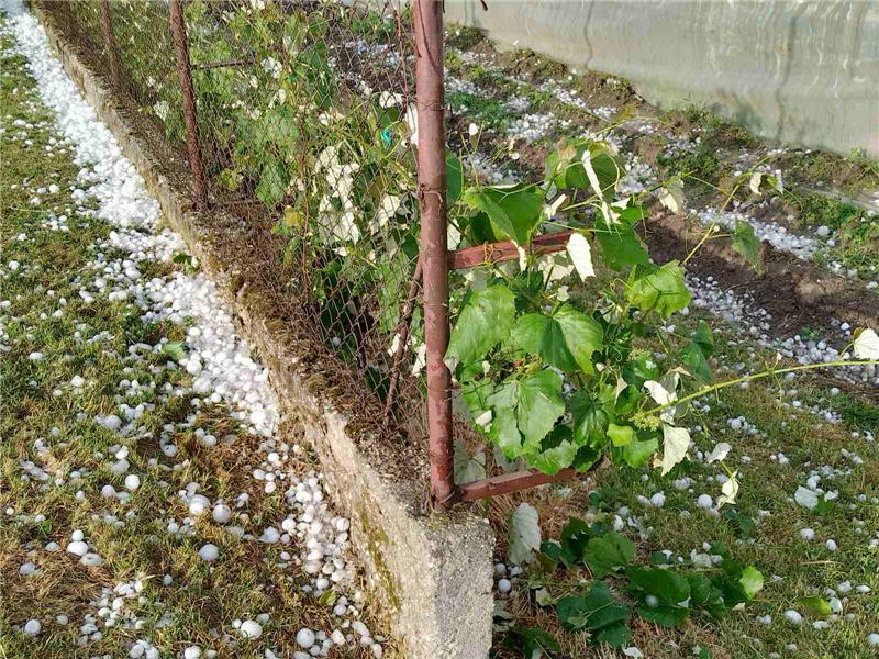 Za sedam podravskih općina proglašena prirodna nepogoda od tuče