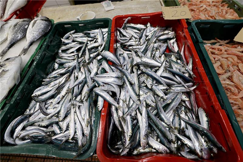 Sustainable fish farming requires ecological approach, conference hears