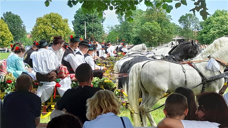 Babina Greda: Priredba tradicijske kulture 41. Konji bijelci