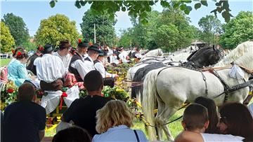 Babina Greda: Priredba tradicijske kulture 41. Konji bijelci