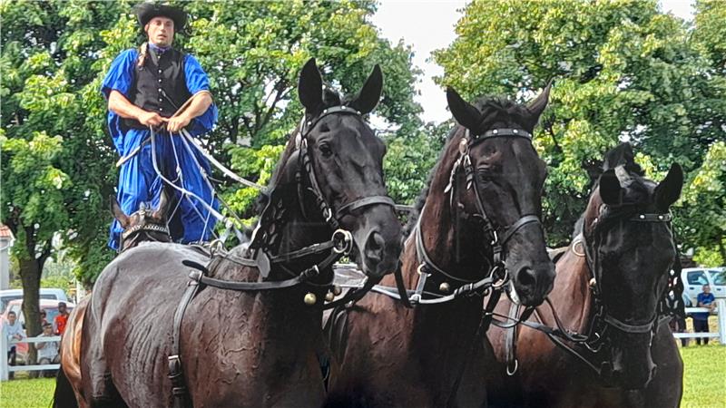 Babina Greda: Priredba tradicijske kulture 41. Konji bijelci