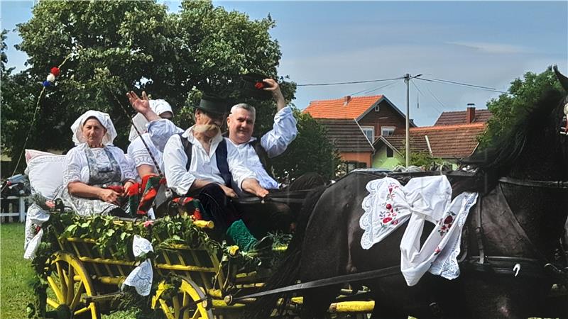 Babina Greda: Priredba tradicijske kulture 41. Konji bijelci