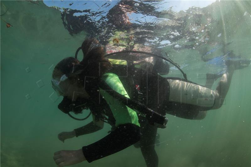 Croatian and Ukrainian children participate in Savudrija Bay seabed cleanup