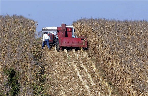 DZS: Average price of arable land per hectare up €209,  pastures' price up €460