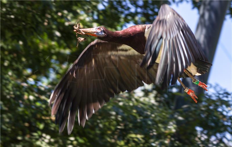 Svečano otvoreni objekti u ZOO-u Grada Zagreba