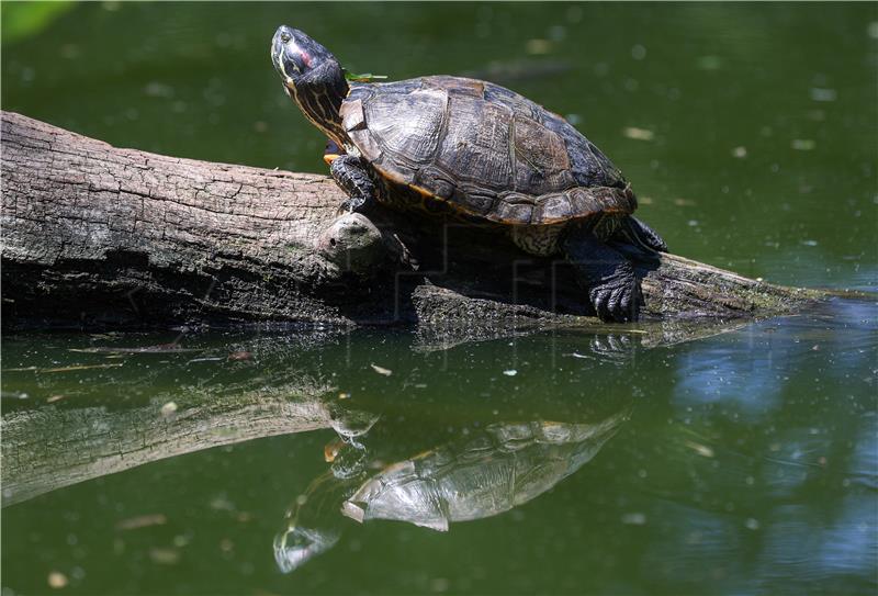 Svečano otvoreni objekti u ZOO-u Grada Zagreba