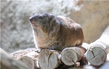 Svečano otvoreni objekti u ZOO-u Grada Zagreba