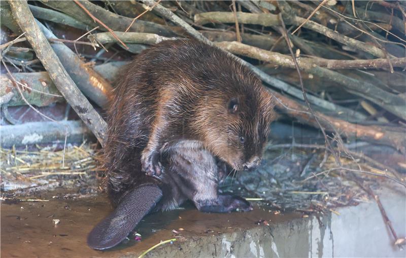 Svečano otvoreni objekti u ZOO-u Grada Zagreba