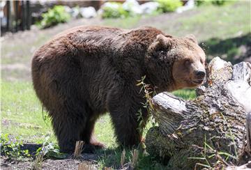 Svečano otvoreni objekti u ZOO-u Grada Zagreba