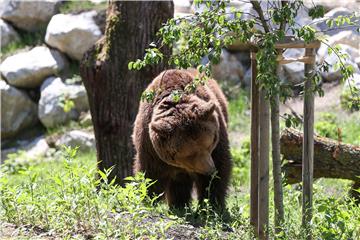 Svečano otvoreni objekti u ZOO-u Grada Zagreba