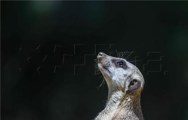 Svečano otvoreni objekti u ZOO-u Grada Zagreba