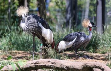 Svečano otvoreni objekti u ZOO-u Grada Zagreba