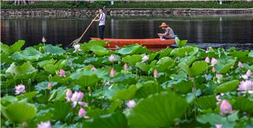 Masovni gubitak biodiverziteta smanjit će globalni kreditni rejting