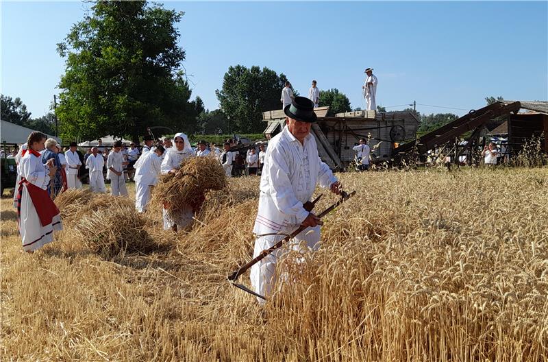 Nakon dvije godine stanke, žetveni običaji ponovno u Županji