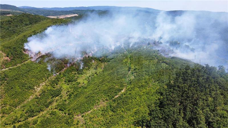 Požar hrastove šume na području Rajića