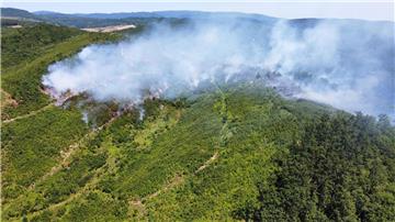 Požar hrastove šume na području Rajića