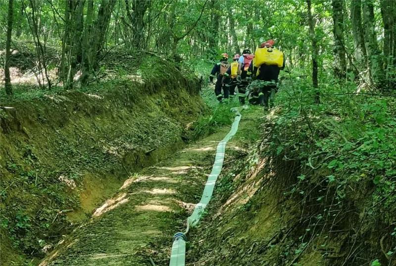 Požar hrastove šume na području Rajića