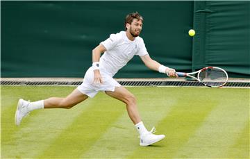 Wimbledon: Goffin i Norrie igraju za polufinale