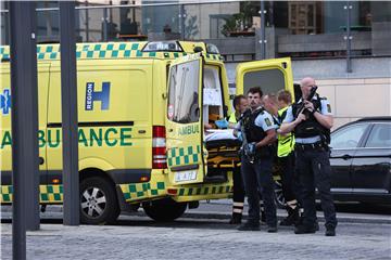 DENMARK SHOPPING MALL SHOOTING