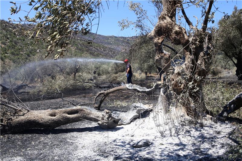 GREECE WILDFIRE AFTERMATH