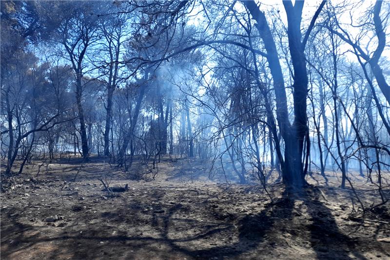 Kozlevac: Požar u Puli u potpunosti pod nadzorom