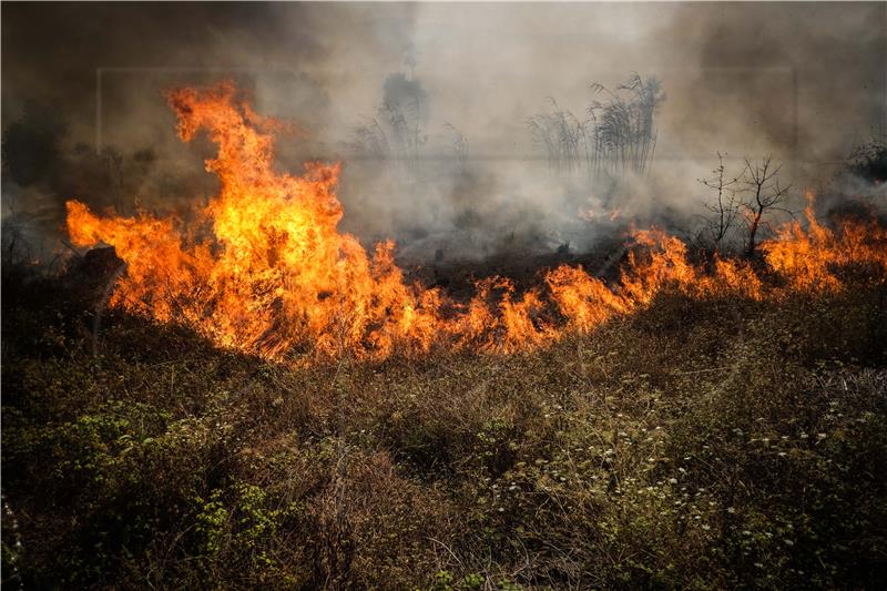 PORTUGAL FOREST FIRE