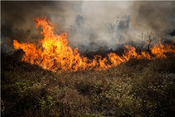 Toplotni val u Portugalu, prijete deseci šumskih požara