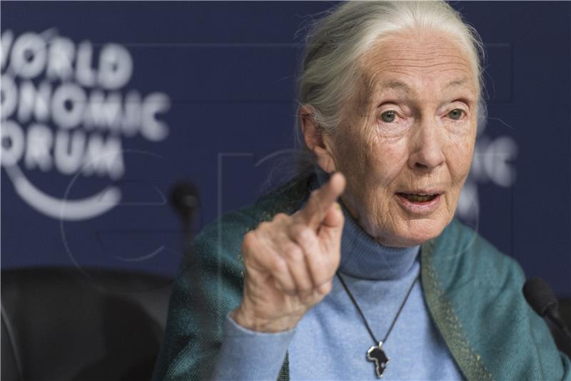 Primatologinja Jane Goodall dobila svoju inačicu lutke Barbie