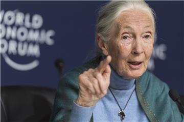 Primatologinja Jane Goodall dobila svoju inačicu lutke Barbie