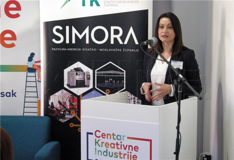 CROWN "From idea to success" project completed in Sisak County