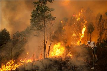 PORTUGAL FIRE