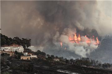 PORTUGAL WILDFIRE