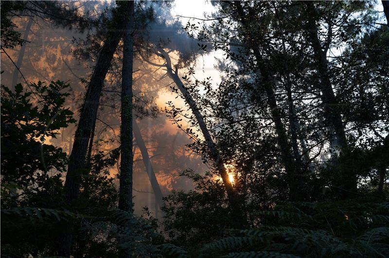 FRANCE WILDFIRE