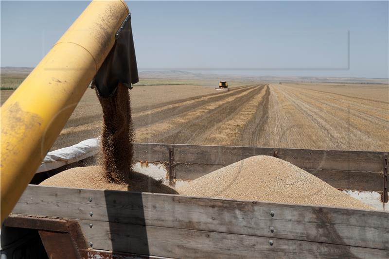 GEORGIA AGRICULTURE WHEAT HARVEST