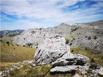 Planina Dinara dobila prvu knjigu o njezinu bogatom biljnom svijetu