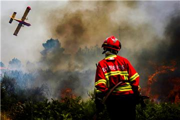 PORTUGAL WILDFIRES