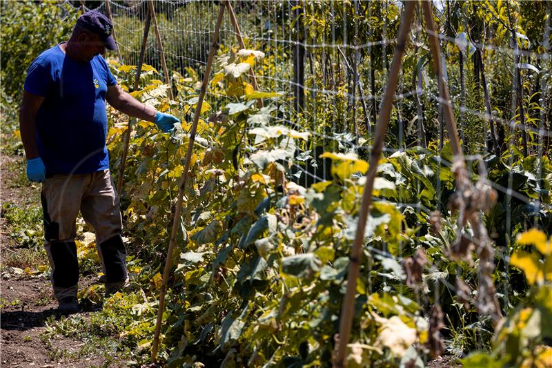 ITALY DROUGHT AGRICULTURE