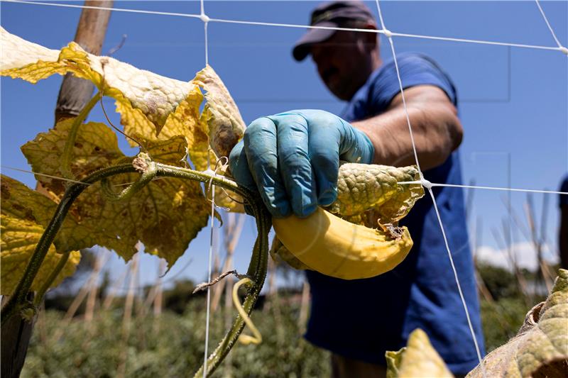 ITALY DROUGHT AGRICULTURE