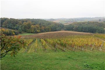 Koseći travu u vinogradu u Međimurju poginuo 65-godišnji traktorist