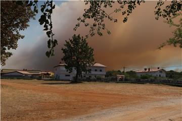 Volunteer civil protection member killed in wildfire at Italian-Slovenian border