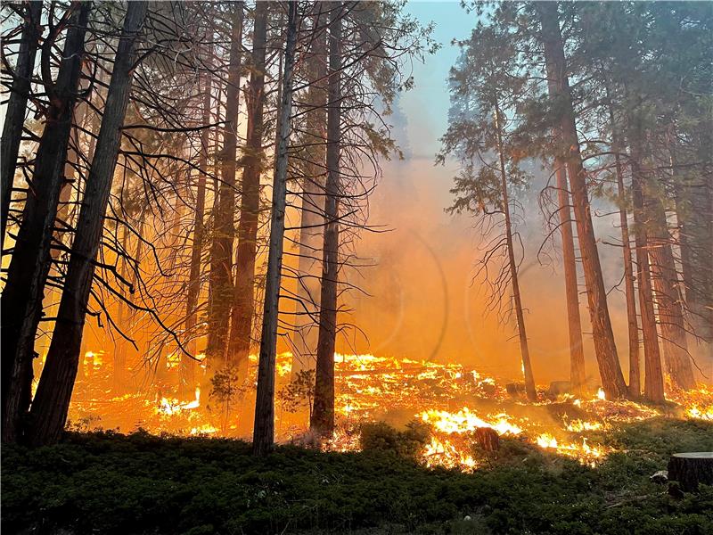 SAD se bori s ekstremnim temperaturama, požar u Kaliforniji