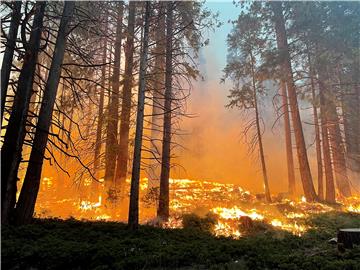 SAD se bori s ekstremnim temperaturama, požar u Kaliforniji