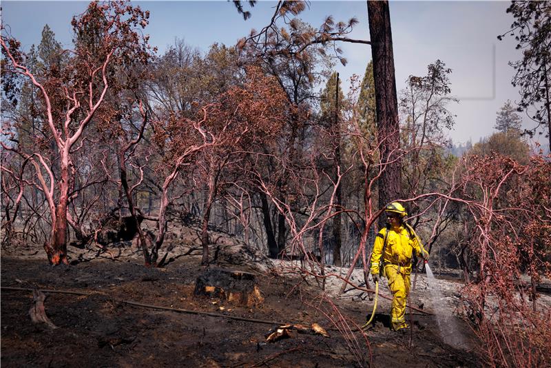 USA WILDFIRE OAK FIRE