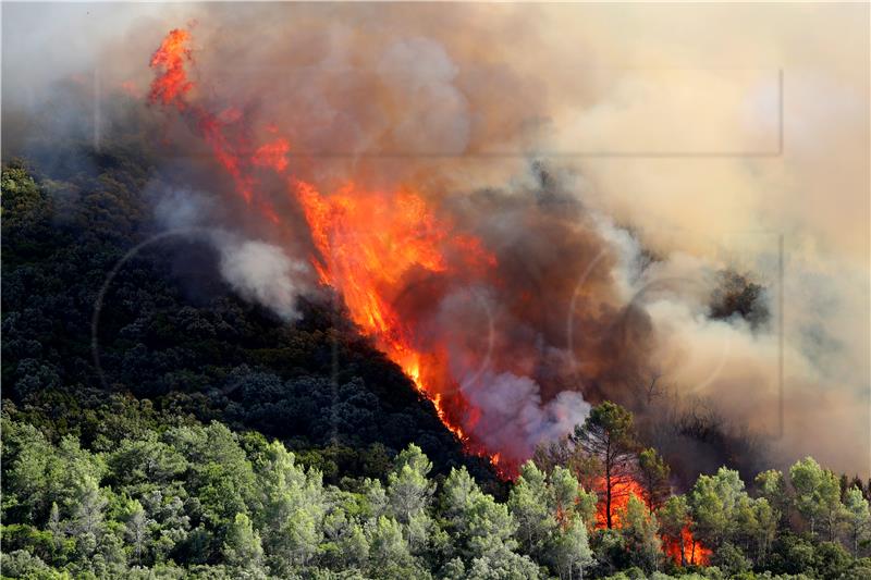 FRANCE FOREST FIRES