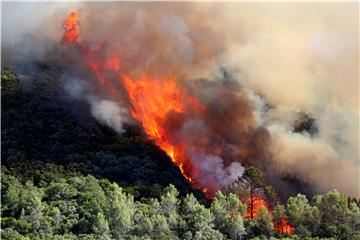 FRANCE FOREST FIRES