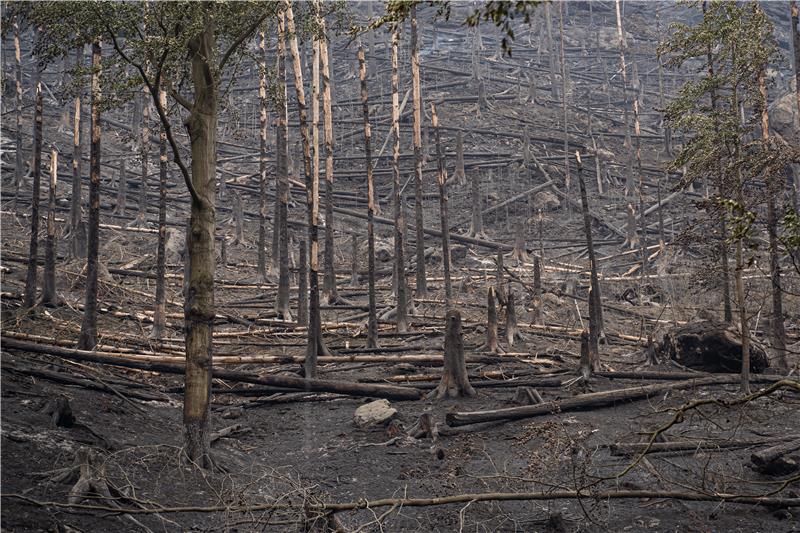 CZECH REPUBLIC FOREST FIRES