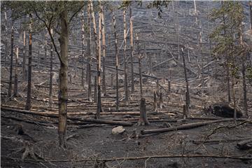 CZECH REPUBLIC FOREST FIRES